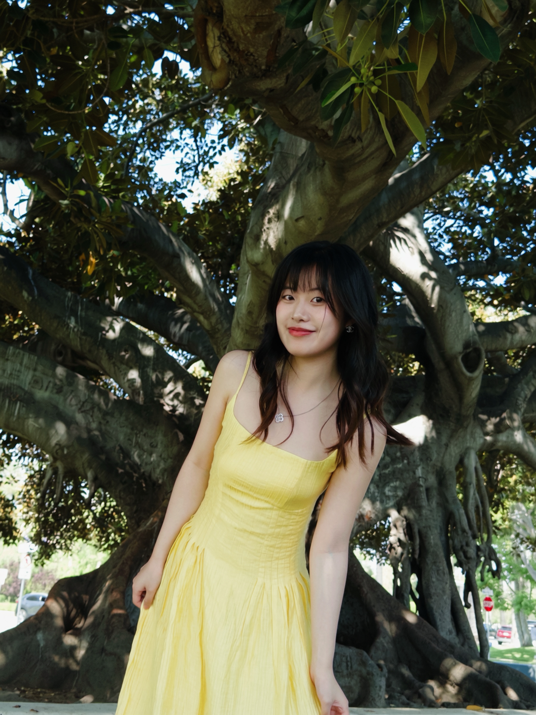 Shenyi_TANG